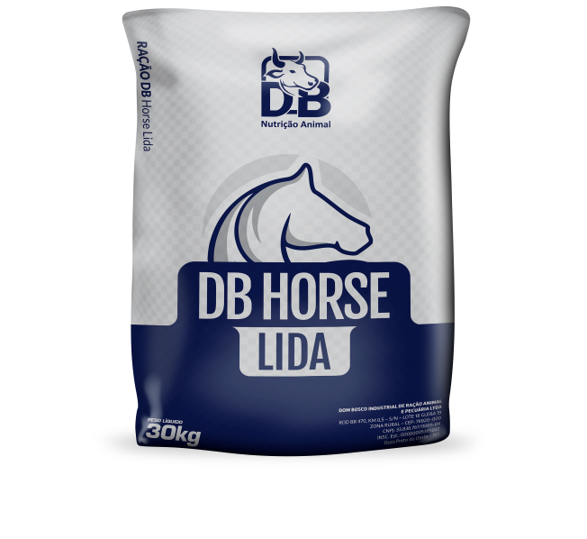 DB Horse Lida