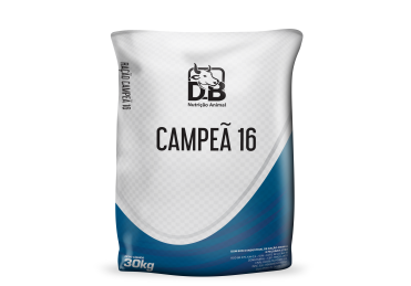 Campeã 16
